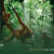 What-to-Expect-on-a-Jungle-Trek-in-Sumatra