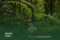 What-to-Pack-for-a-Jungle-Trek-in-Sumatra