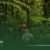 What-to-Pack-for-a-Jungle-Trek-in-Sumatra