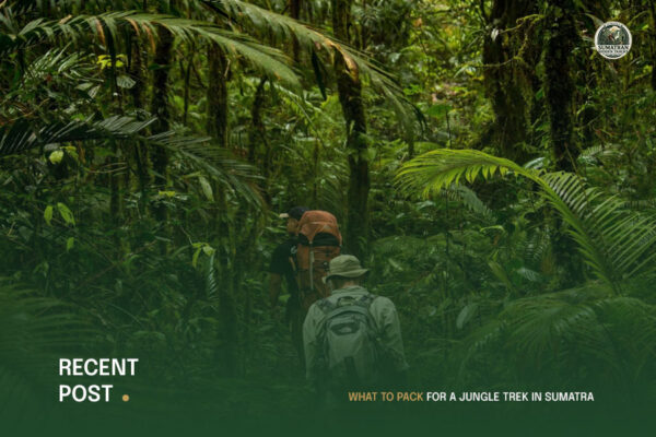 What-to-Pack-for-a-Jungle-Trek-in-Sumatra