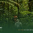 What-to-Pack-for-a-Jungle-Trek-in-Sumatra