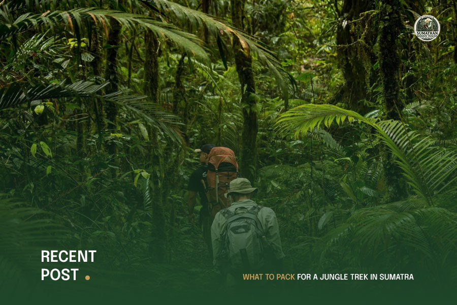 What-to-Pack-for-a-Jungle-Trek-in-Sumatra